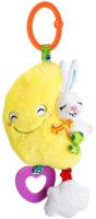 

Прорезыватель для зубов JollyBaby, Подвеска Луна / 960000018