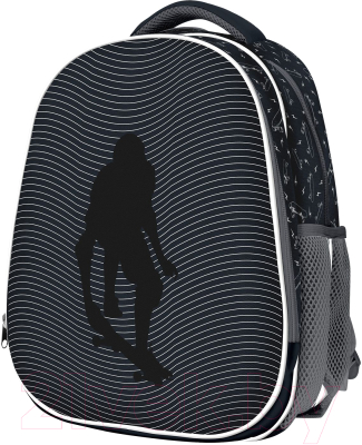 Школьный рюкзак Schoolformat Ergonomic Light 2 SKATE LIFE РЮКЖКМБ2-СКЛ (черный)