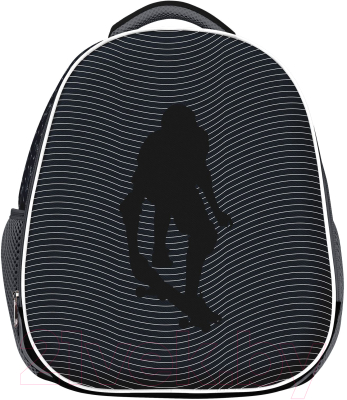 Школьный рюкзак Schoolformat Ergonomic Light 2 SKATE LIFE РЮКЖКМБ2-СКЛ (черный)