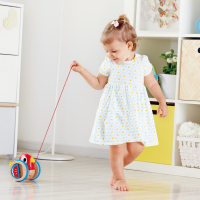 

Развивающая игрушка, Зверики Птенец / E0360_HP