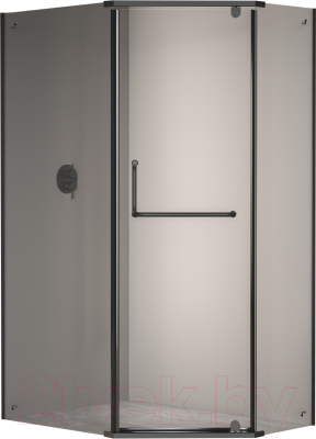 Изображение товара Душевой уголок RGW PA-091 / 35089180-14