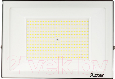Прожектор REV Ritter Profi / 53412 3 (черный)
