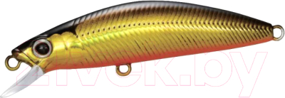 Воблер Shimano Lure Cardiff Folletta / 59VTN251T07