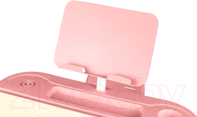 Парта+стул Anatomica Ara с подставкой для книг, светильником и выдвижным органайзером (клен/розовый)