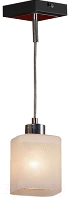 Потолочный светильник Lussole Costanzo LSL-9006-01