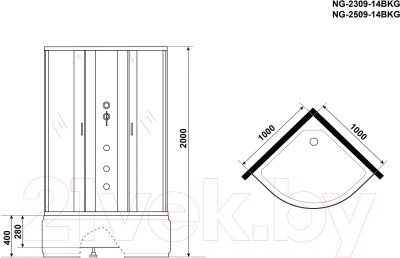 Душевая кабина Niagara NG-2509-14BKG 100x100x200 (тонированное стекло)