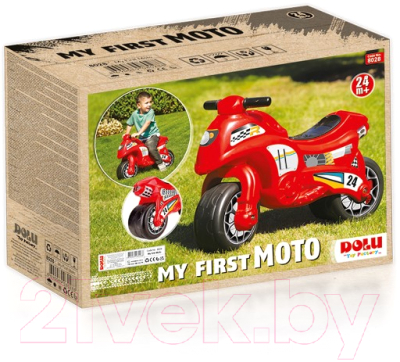 Каталка детская Dolu My 1st Moto / 8028 (красный)