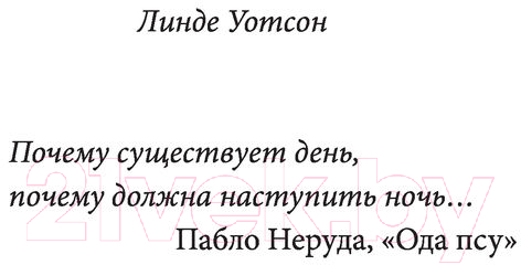 Художественная книга АСТ Пятнадцать псов (Алексис А.) — фото 6