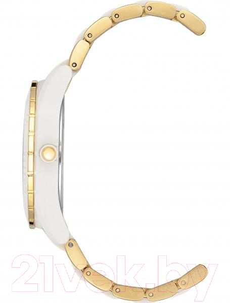 Часы наручные женские Anne Klein 3910WTGB