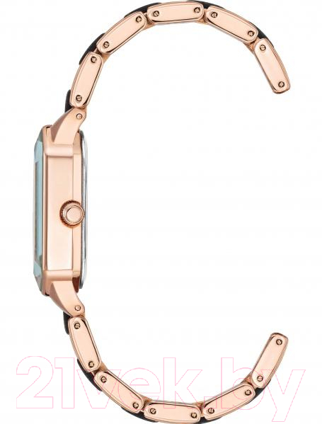 Часы наручные женские Anne Klein 3972RGGY