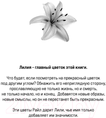 Изображение товара Книга Эксмо Все закончится на нас (2023) (Гувер К.)