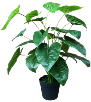 Искусственное растение ForGarden Алоказия / BN10685 - 