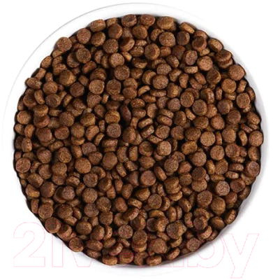 Сухой корм для кошек Ambrosia Grain Free для стерилизованных кошек, индейка, сельдь / U/ACST5 (5кг)