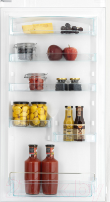 Холодильник с морозильником Snaige RF58SM-P500NF
