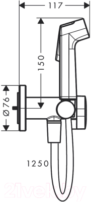 Изображение товара Гигиенический душ Hansgrohe 29232000