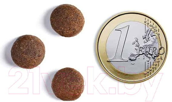 Сухой корм для собак Ambrosia Grain Free для пожилых с избыт. весом индейка и лосось / U/ATS2 (2кг) — фото 5