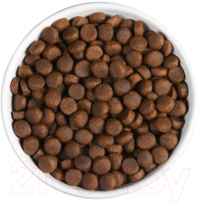 Сухой корм для собак Ambrosia Grain Free для всех пород говядина, лосось / U/ABS2 (2кг)