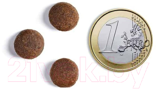 Сухой корм для собак Ambrosia Grain Free для всех пород с ягненком и лососем / U/ALS2 (2кг) — фото 5