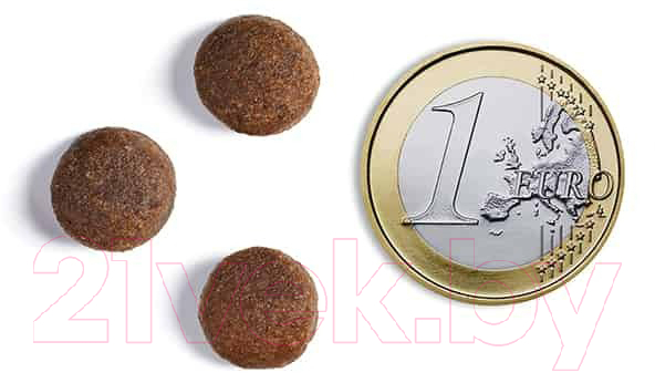 Сухой корм для собак Ambrosia Grain Free чувств. пищевар с индейкой и кроликом / U/ATR12 (12кг) — фото 6