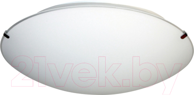 Потолочный светильник Элетех Этруска 300 НПБ 01-2x60-139 М16 / 1005206096 (матовый белый/металлик)