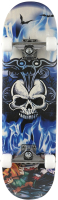 Скейтборд CosmoRide 222А (Blue Skull) - 