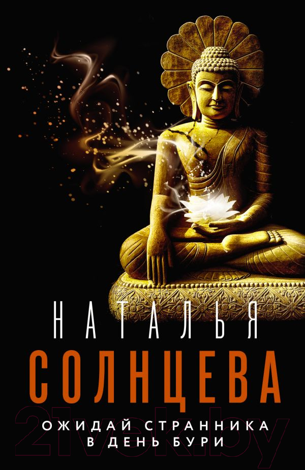 Художественная книга АСТ Ожидай странника в день бури (Солнцева Н.) — фото 1