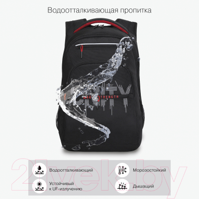Рюкзак Grizzly RU-331-1 (черный)