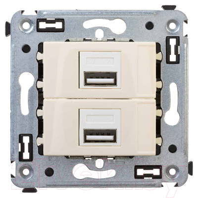 Розетка DKC Avanti USB 4405543 (ванильная дымка)