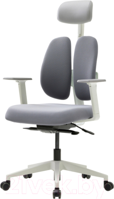 Кресло офисное Duorest D2500G-DASW 8EKGY (серый)
