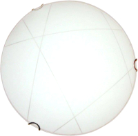 

Потолочный светильник Элетех, Контур 500 НПБ 06-3х60 М64 / 1005204280