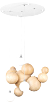 

Потолочный светильник Loftit, Ginger 10161