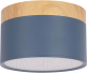 Потолочный светильник Loftit Grape 10162 (синий) - 