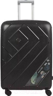 Чемодан на колесах Francesco Molinary 337-EL301/3-28BLK