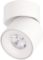 Потолочный светильник Loftit Tictac 10180 (белый) - 