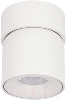 Потолочный светильник Loftit Tictac 10180 (белый)