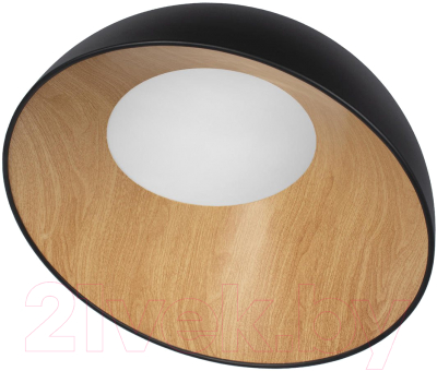 Потолочный светильник Loftit Egg 10197/500 (черный)