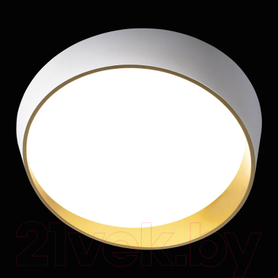 Потолочный светильник Loftit Coin 10199 (белый)