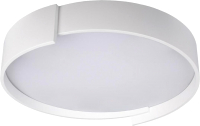 Потолочный светильник Loftit Coin 10200 (белый) - 