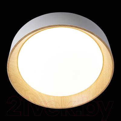 Потолочный светильник Loftit Coin 10202 (белый)