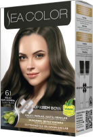 Крем-краска для волос Sea Color Hair Dye Kit тон 6.1 (пепельный темно-русый) - 