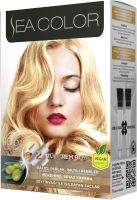 Крем-краска для волос Sea Color Hair Dye Kit тон 10.0 (светлый блондин) - 
