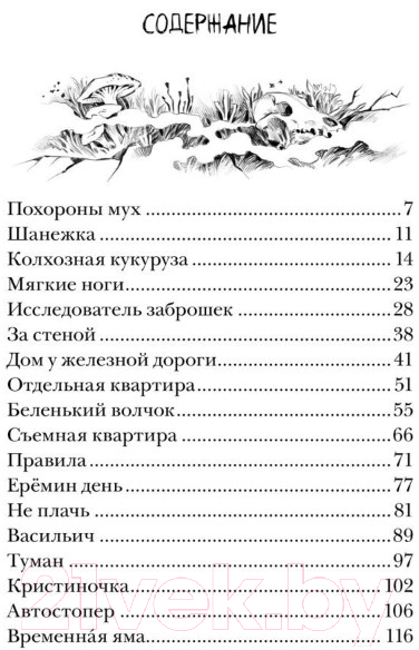 Художественная книга Росмэн Приходи вчера (Мастрюкова Т.) — фото 2