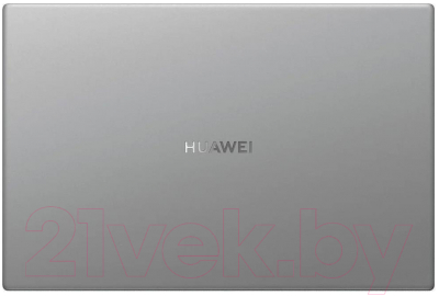 Ноутбук Huawei MateBook D14 NbD-WDI9 (космический серый)