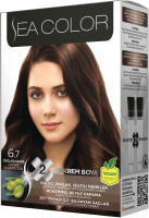 Крем-краска для волос Sea Color Hair Dye Kit тон 6.7 (шоколадный кофе) - 