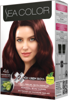 Крем-краска для волос Sea Color Hair Dye Kit тон 4.6 (красный каштан) - 