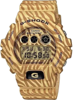 Часы наручные мужские Casio DW-6900ZB-9E - 