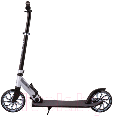 Изображение товара Самокат городской Maxiscoo Ocean 2023 / MSC-OB-2301 (голубой)