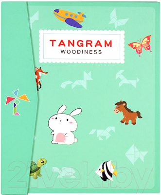 Развивающая игра Darvish Tangram / SR-T-2394