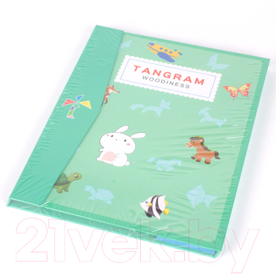 Развивающая игра Darvish Tangram / SR-T-2394