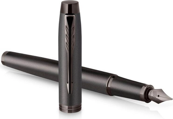 Ручка перьевая имиджевая Parker IM Professionals Monochrome Titanium / 2172959 (синий)